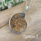 Hepburn and Hughes Ammonite Necklace | Madagascan Pendant | Fossil Gift | Sterling Silver