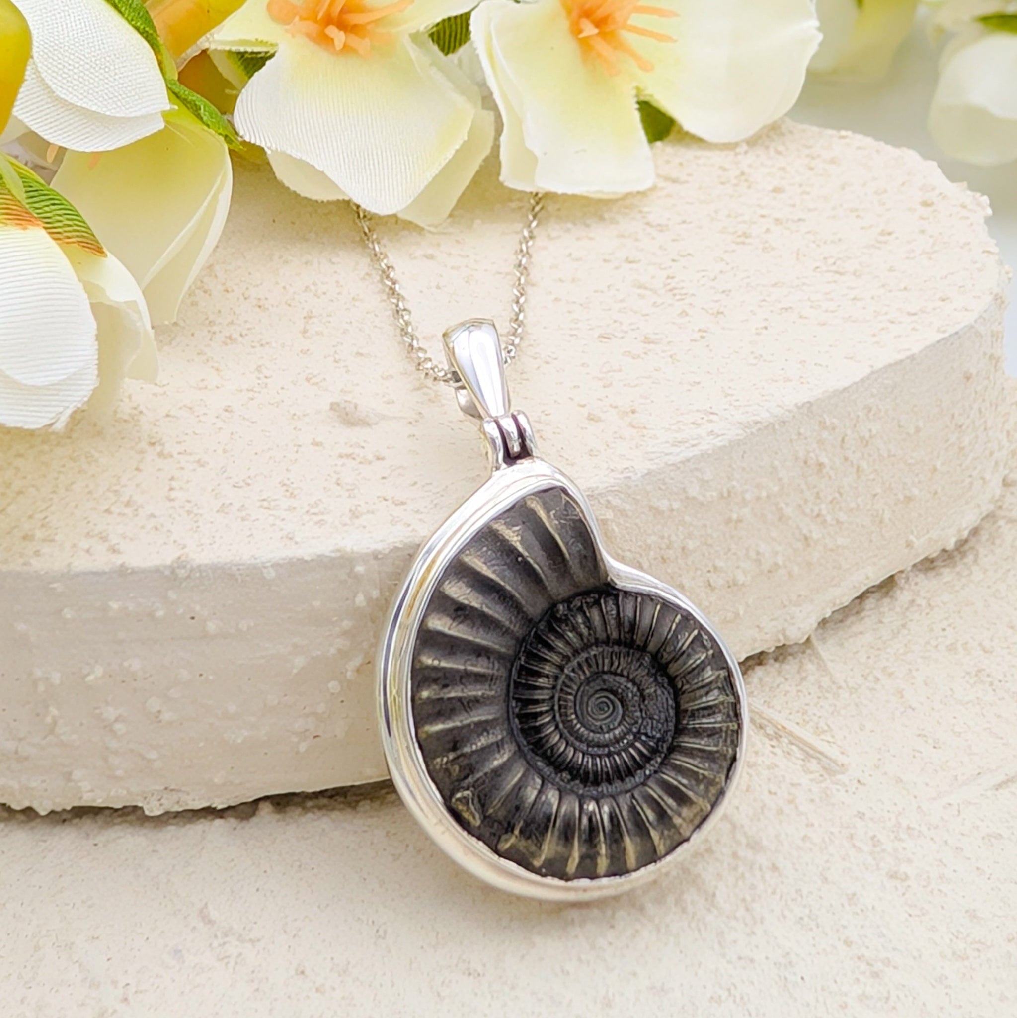 Hepburn and Hughes Ammonite Pendant | 25mm Promicroceras Fossil Necklace | Sterling Silver