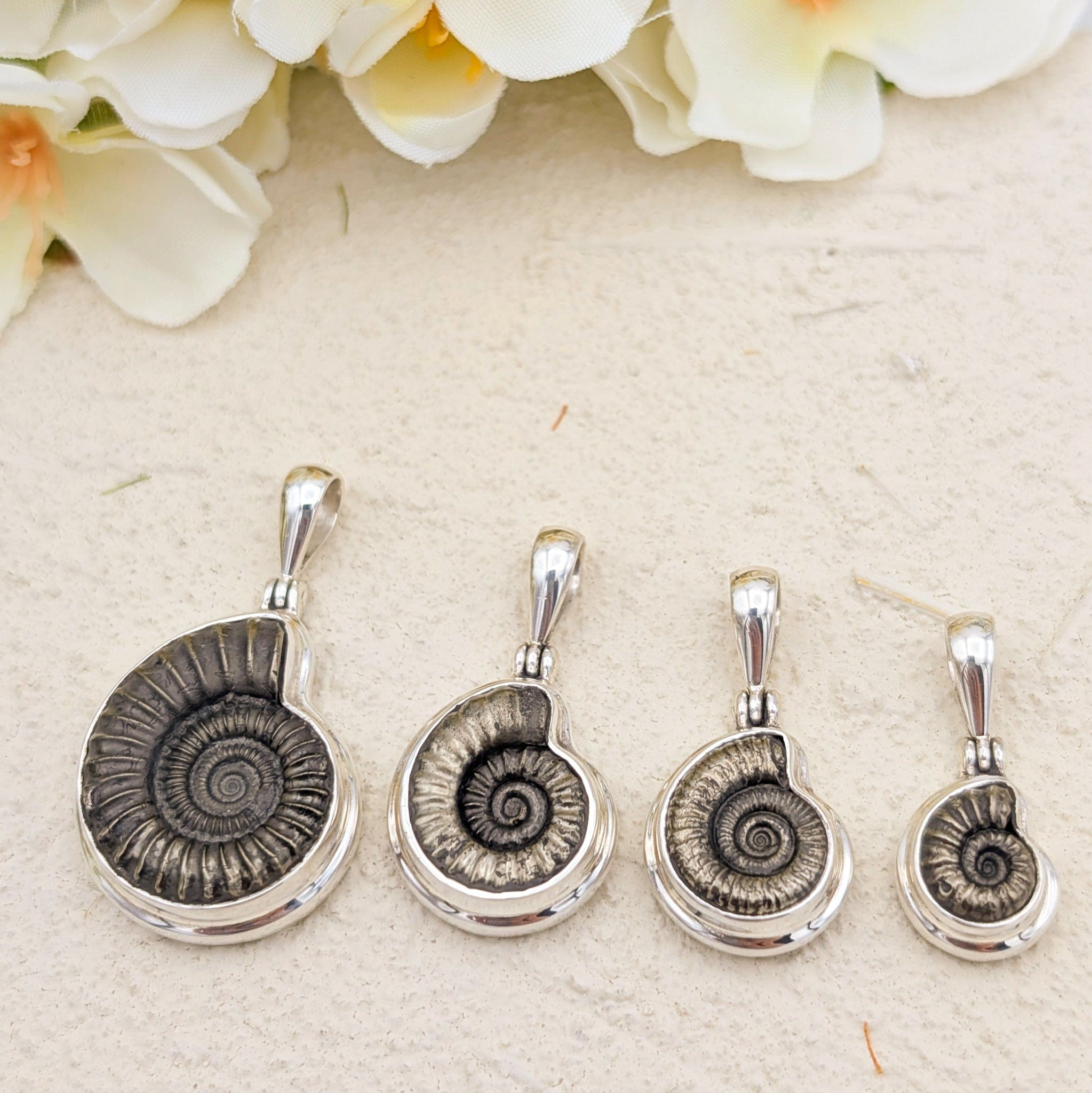 Hepburn and Hughes Ammonite Pendant | 25mm Promicroceras Fossil Necklace | Sterling Silver