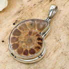 Hepburn and Hughes Ammonite Pendant | 28mm Madagascan Fossil Jewellery | Sterling Silver