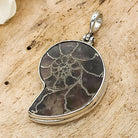 Hepburn and Hughes Ammonite Pendant | 28mm Madagascan Fossil Jewellery | Sterling Silver