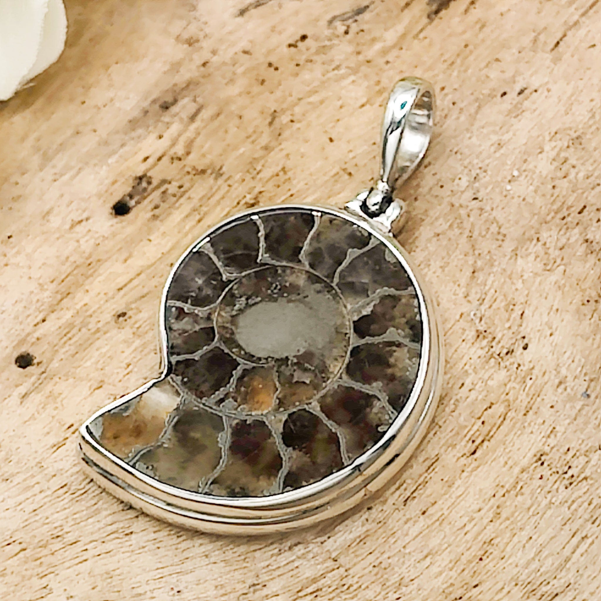 Round Ammonite Pendant, Fossil in Matrix, Real Ammonite Fossil buy Necklace, Sterling Silver Wire Wrap, Raw Fossil Jewelry, Mens Wrapped Fossil