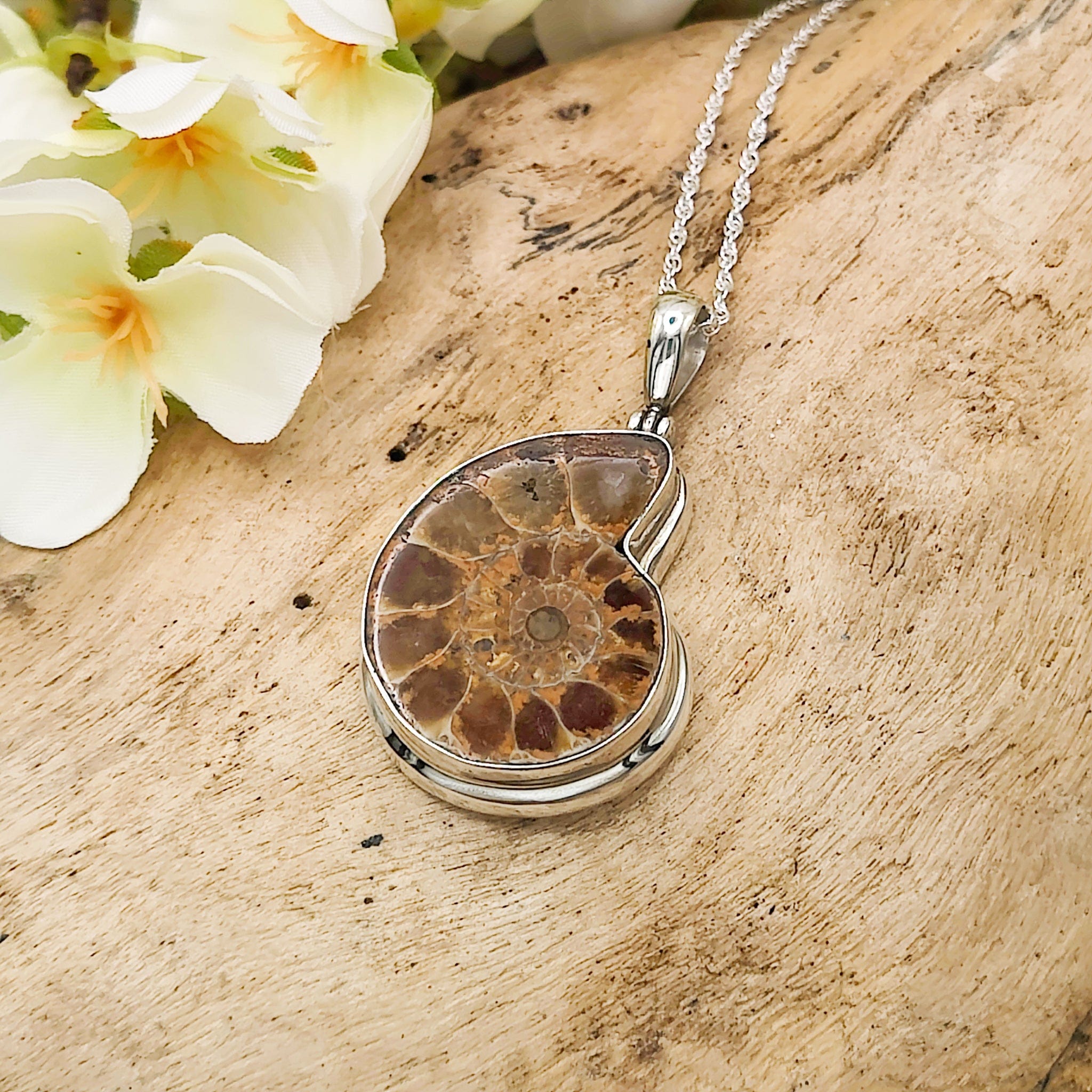 Hepburn and Hughes Ammonite Pendant | 28mm Madagascan Fossil Jewellery | Sterling Silver