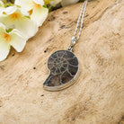 Hepburn and Hughes Ammonite Pendant | 28mm Madagascan Fossil Jewellery | Sterling Silver