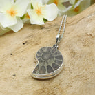 Hepburn and Hughes Ammonite Pendant | 28mm Pyrite | Sterling Silver