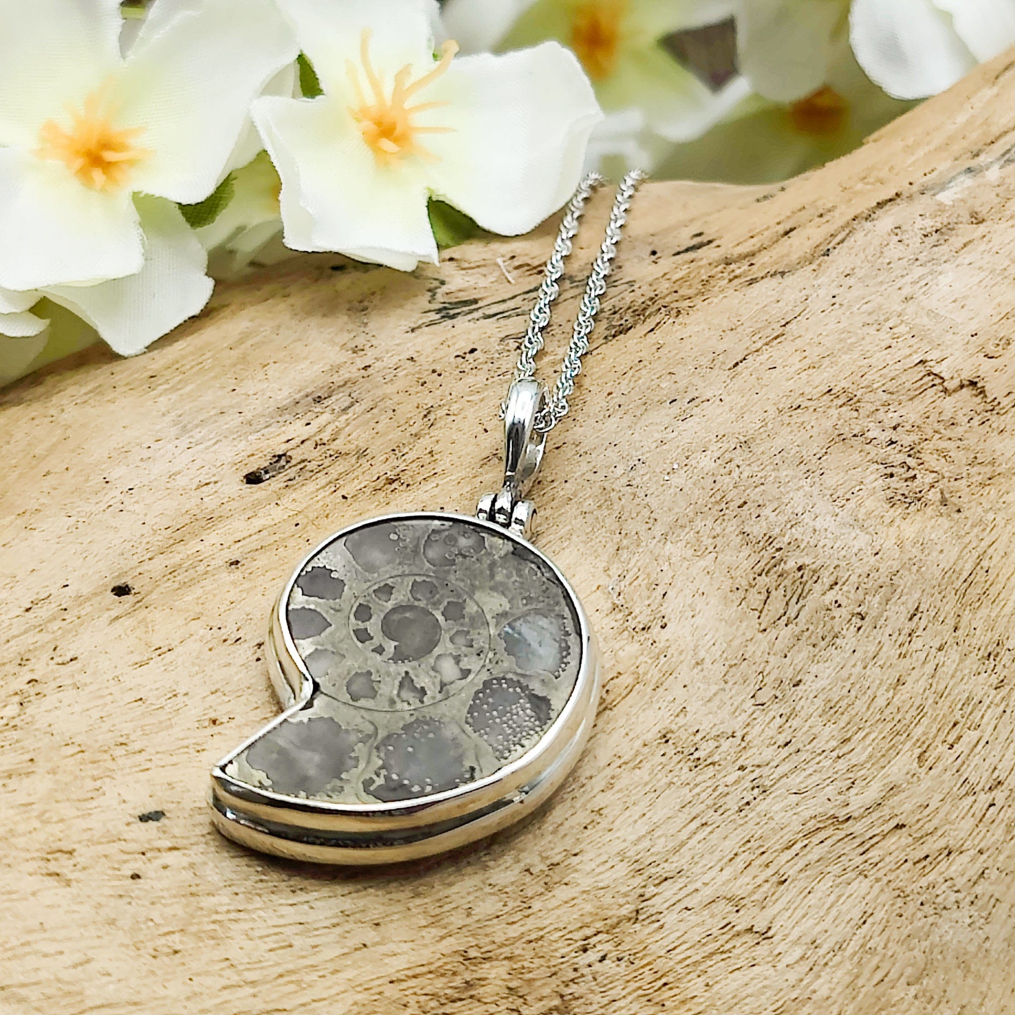 Hepburn and Hughes Ammonite Pendant | 28mm Pyrite | Sterling Silver