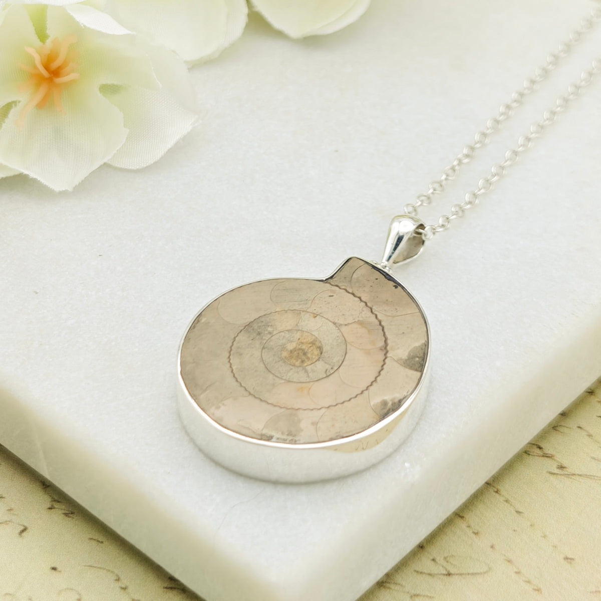 Hepburn and Hughes Ammonite Pendant | 30mm Light Madagascan Fossil Jewellery | Sterling Silver