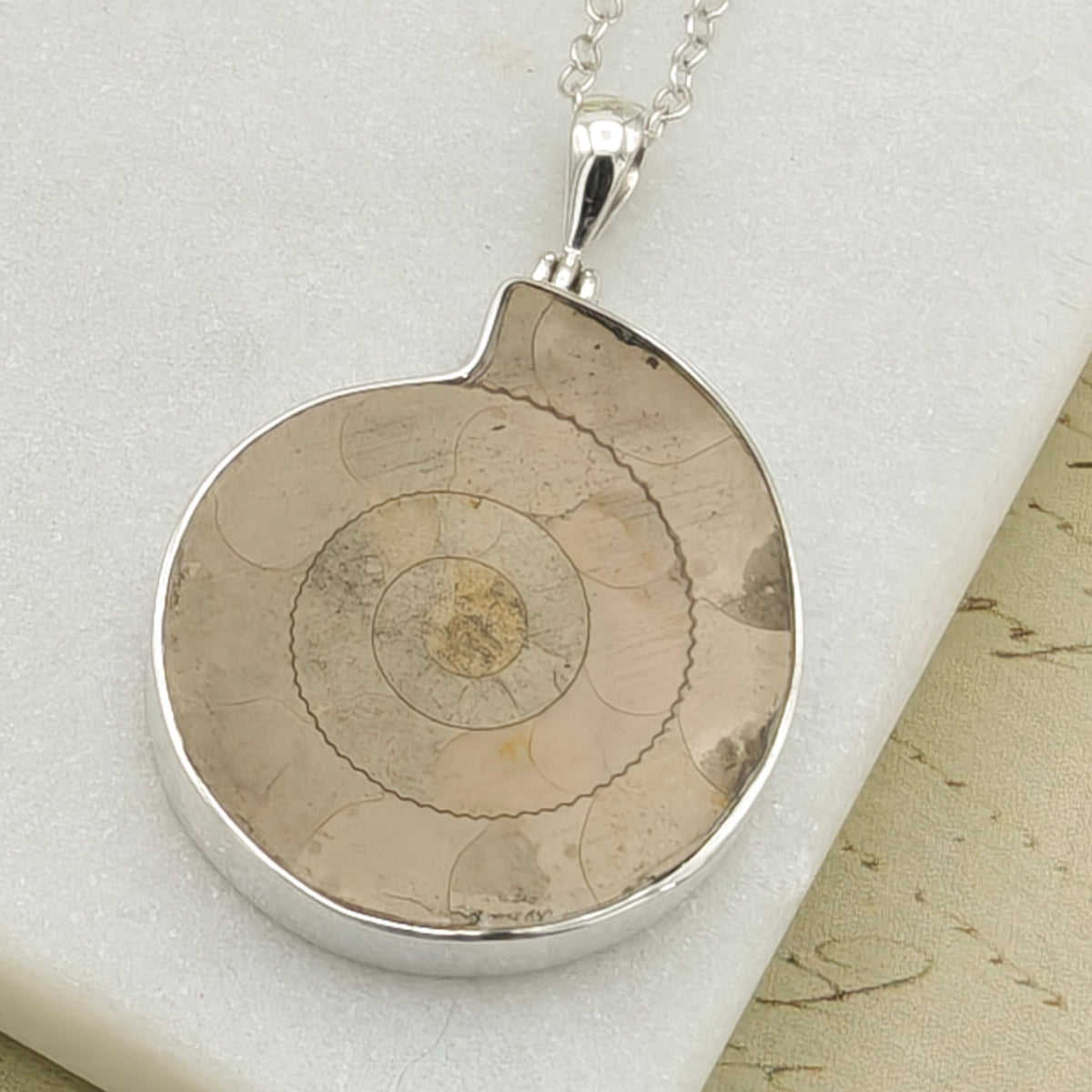 Hepburn and Hughes Ammonite Pendant | 30mm Light Madagascan Fossil Jewellery | Sterling Silver