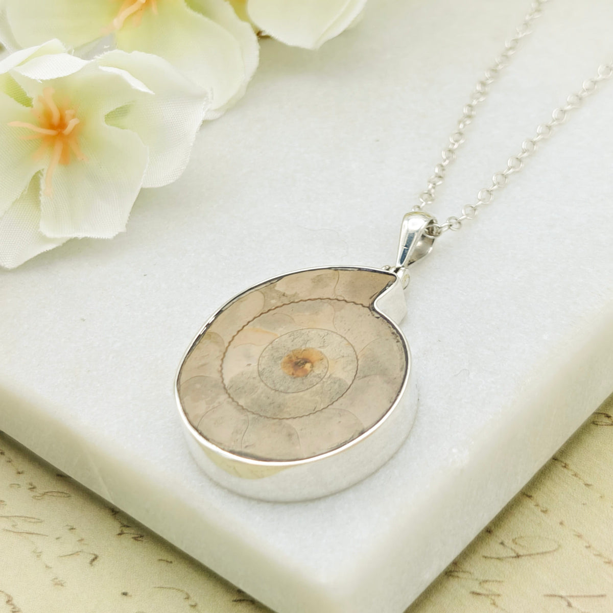 Hepburn and Hughes Ammonite Pendant | 30mm Light Madagascan Fossil Jewellery | Sterling Silver