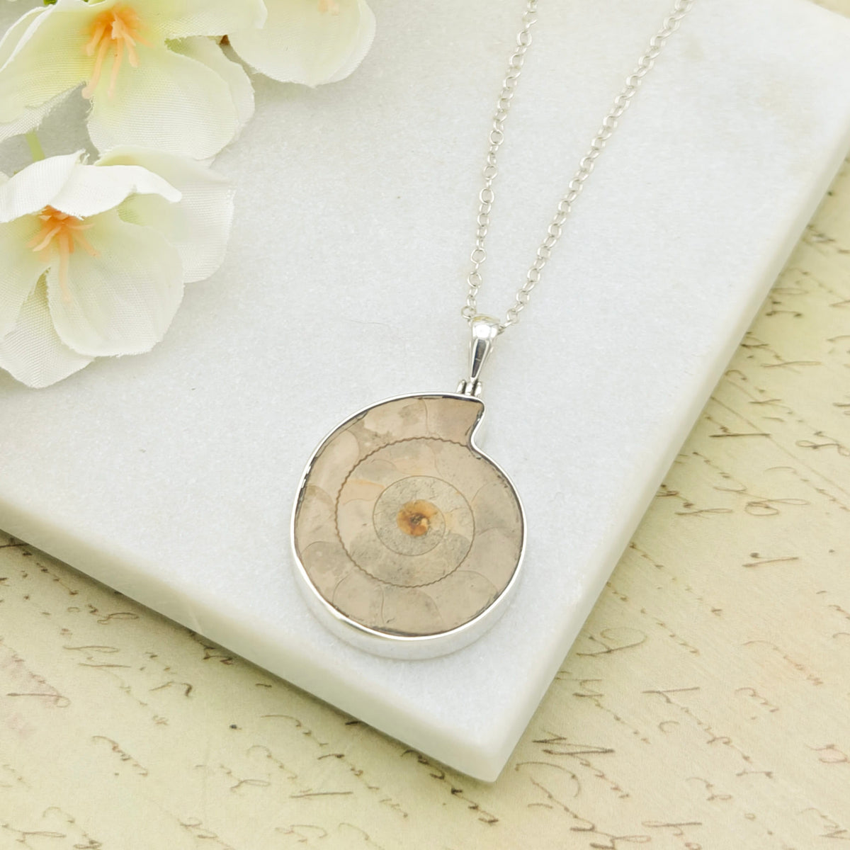 Hepburn and Hughes Ammonite Pendant | 30mm Light Madagascan Fossil Jewellery | Sterling Silver