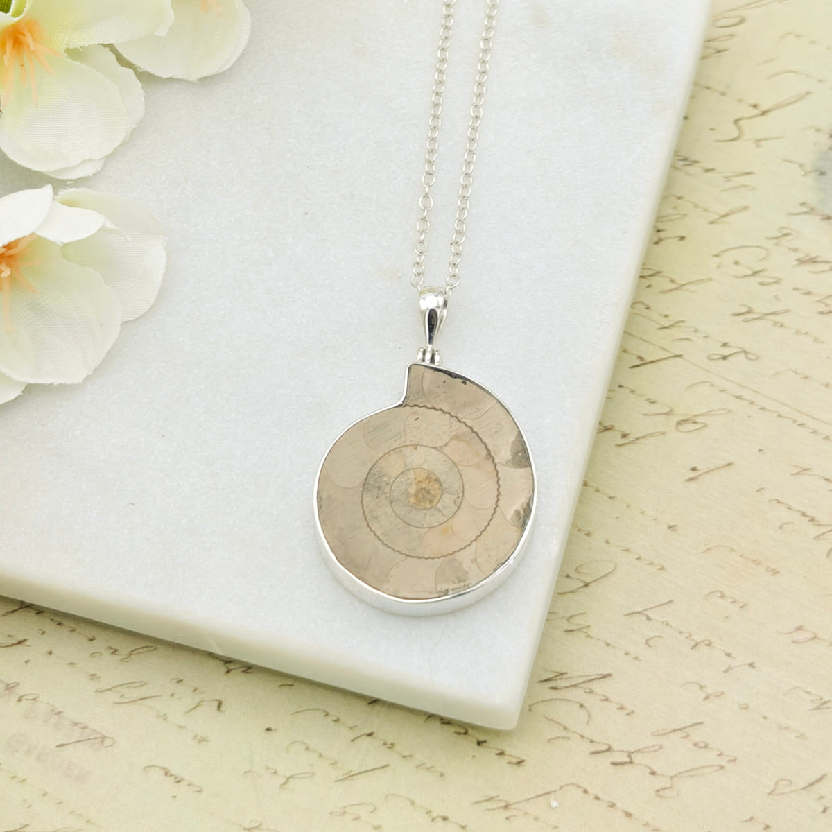 Hepburn and Hughes Ammonite Pendant | 30mm Light Madagascan Fossil Jewellery | Sterling Silver