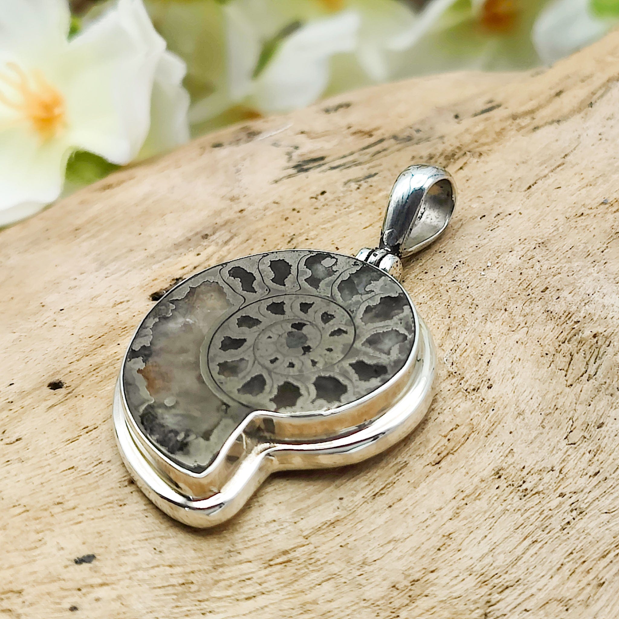 Hepburn and Hughes Ammonite Pendant | 30mm Pyrite | Sterling Silver