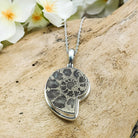 Hepburn and Hughes Ammonite Pendant | 30mm Pyrite | Sterling Silver