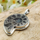 Hepburn and Hughes Ammonite Pendant | 35mm Pyrite | Sterling Silver