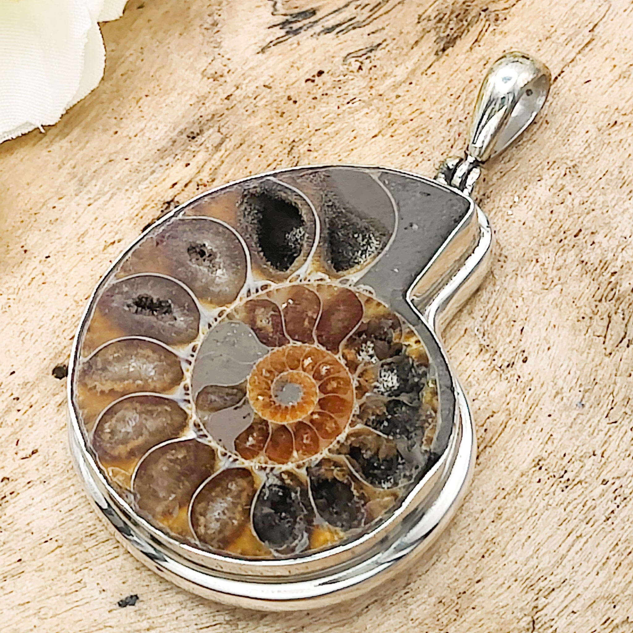 Ammonite Pendant - Sterling Silver - Wire Wrapped - With Chain - Gift For Her - outlets Ammonite Jewelry