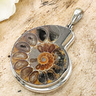 Hepburn and Hughes Ammonite Pendant | 37mm Madagascan Fossil Jewellery | Sterling Silver