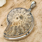 Hepburn and Hughes Ammonite Pendant | 37mm Madagascan Fossil Jewellery | Sterling Silver