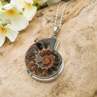 Hepburn and Hughes Ammonite Pendant | 37mm Madagascan Fossil Jewellery | Sterling Silver