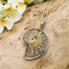 Hepburn and Hughes Ammonite Pendant | 37mm Madagascan Fossil Jewellery | Sterling Silver