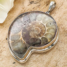 Hepburn and Hughes Ammonite Pendant | 42mm Madagascan Fossil Jewellery | Sterling Silver