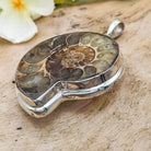 Hepburn and Hughes Ammonite Pendant | 42mm Madagascan Fossil Jewellery | Sterling Silver