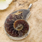 Hepburn and Hughes Ammonite Pendant | 42mm Madagascan Fossil Jewellery | Sterling Silver