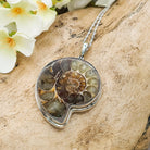 Hepburn and Hughes Ammonite Pendant | 42mm Madagascan Fossil Jewellery | Sterling Silver