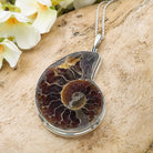 Hepburn and Hughes Ammonite Pendant | 42mm Madagascan Fossil Jewellery | Sterling Silver