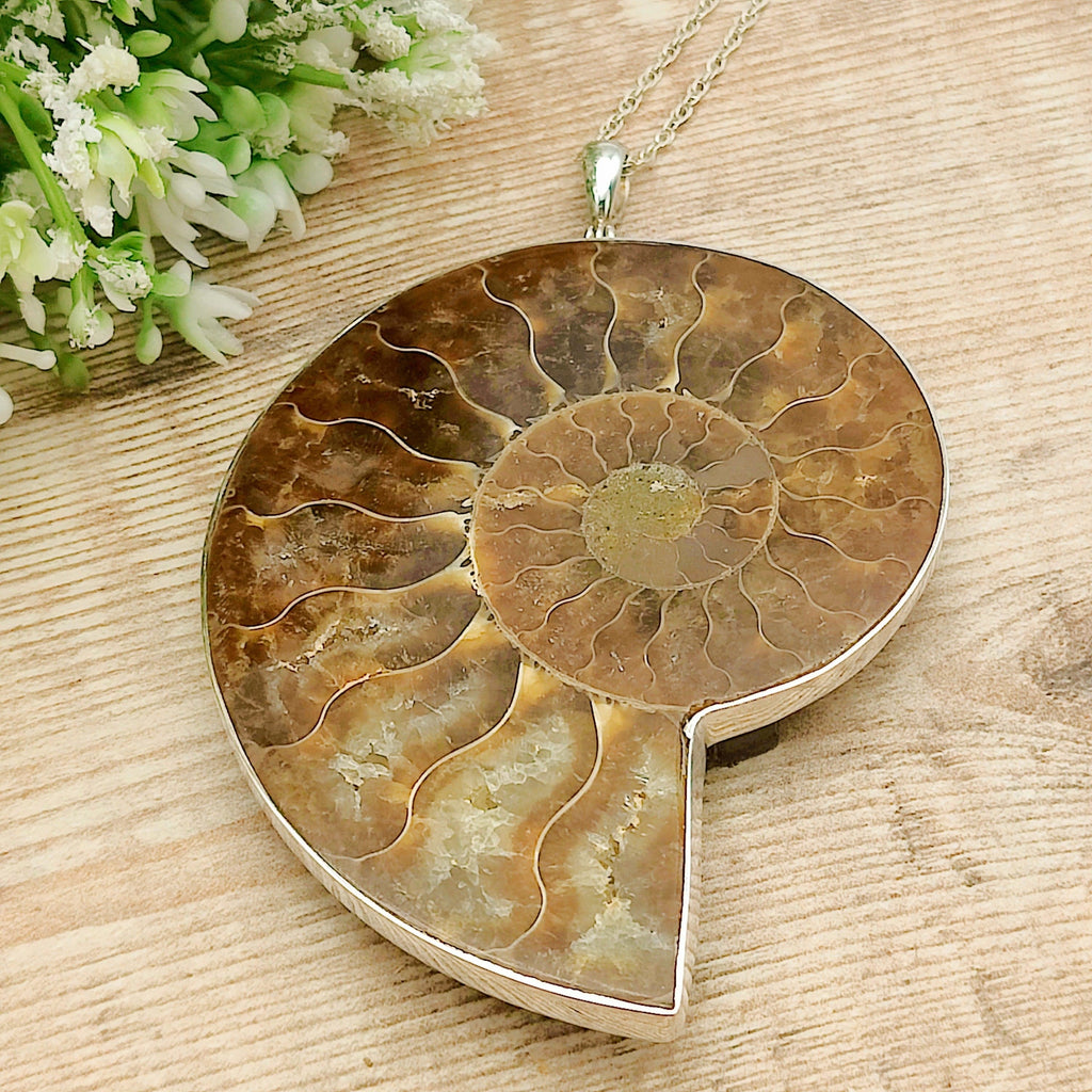 Hepburn and Hughes Ammonite Pendant | Large 76mm Madagascan Fossil | Sterling Silver