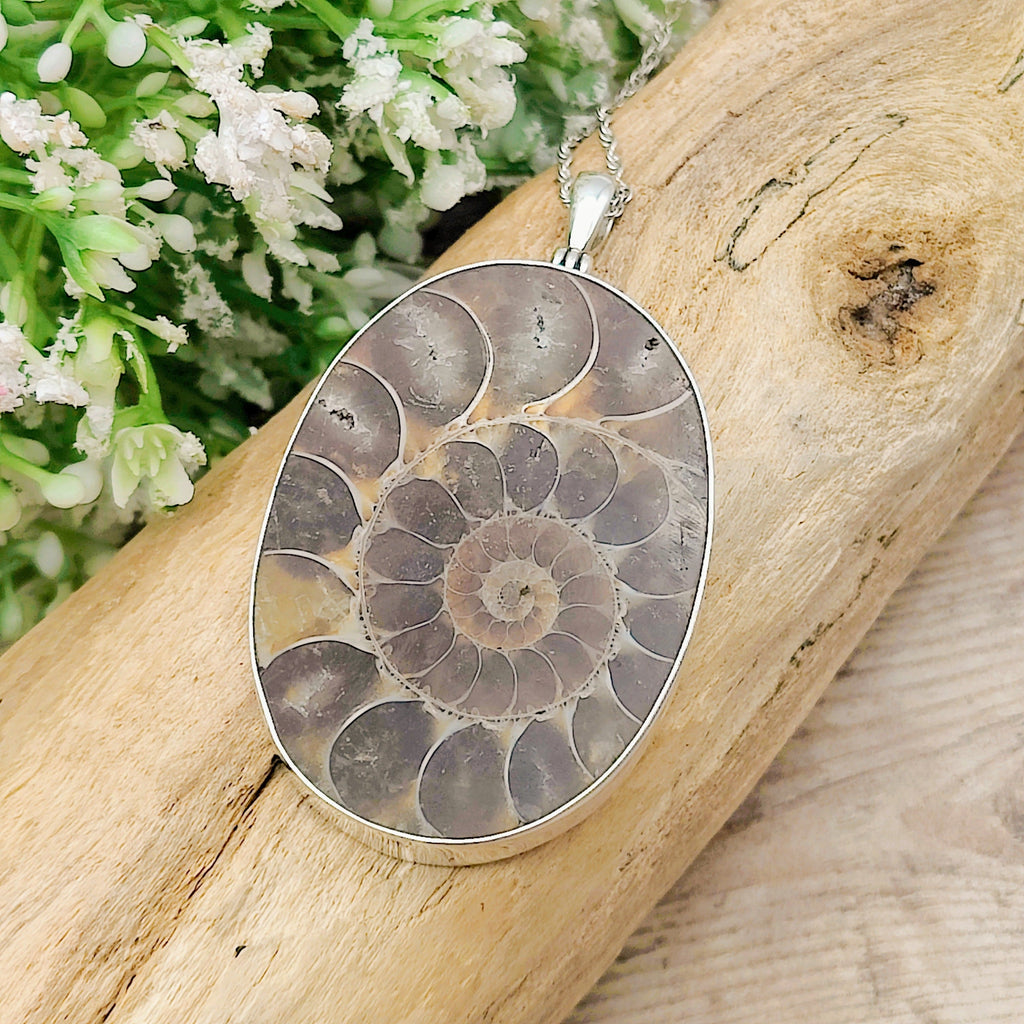 Hepburn and Hughes Ammonite Pendant | Large Oval Fossil Necklace | Four Options | Sterling Silver