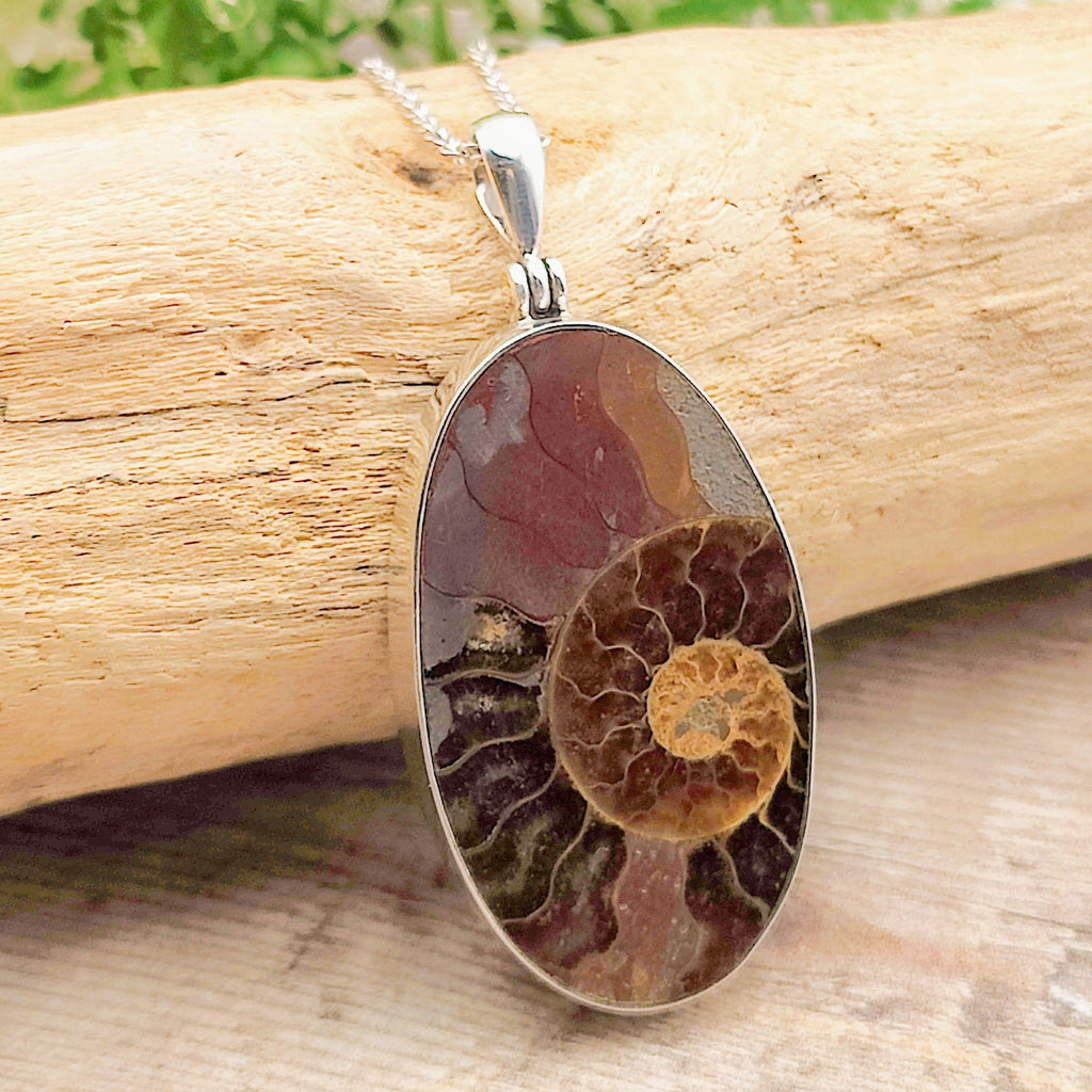 Hepburn and Hughes Ammonite Pendant | Large Oval Fossil Necklace | Four Options | Sterling Silver