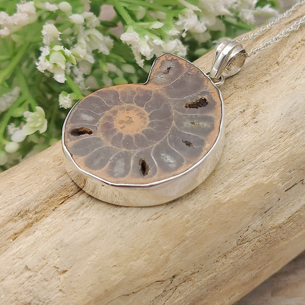 Hepburn and Hughes Ammonite Pendant | Madagascan Fossil Gift | Sterling Silver