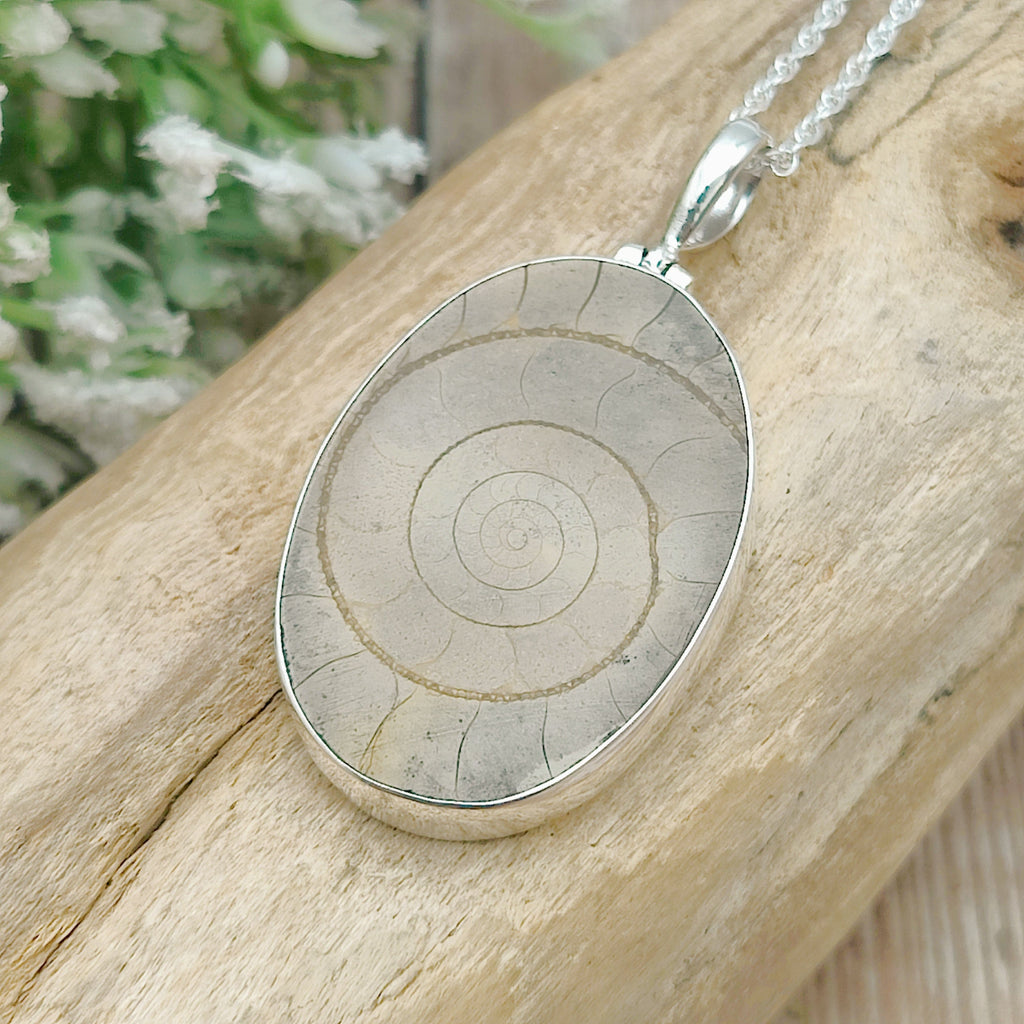 Hepburn and Hughes Ammonite Pendant | Madagascan Oval Fossil | Light Hues |Sterling Silver