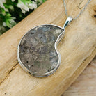 Hepburn and Hughes Ammonite Pendant, Medium Pyrite in Sterling Silver