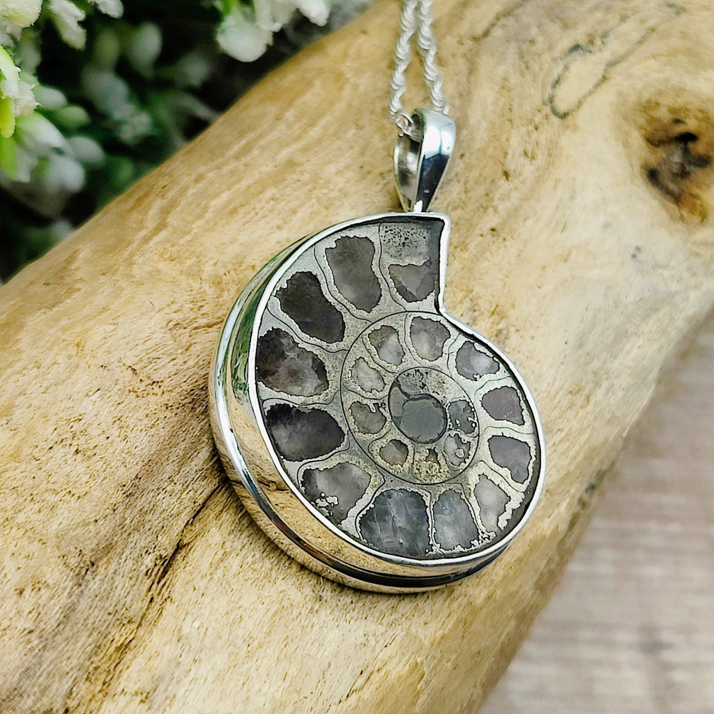 Hepburn and Hughes Ammonite Pendant | Pyrite Fossil Necklace | Two Sizes | Sterling silver