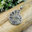 Hepburn and Hughes Ammonite Pendant | Pyrite Fossil Necklace | Two Sizes | Sterling silver