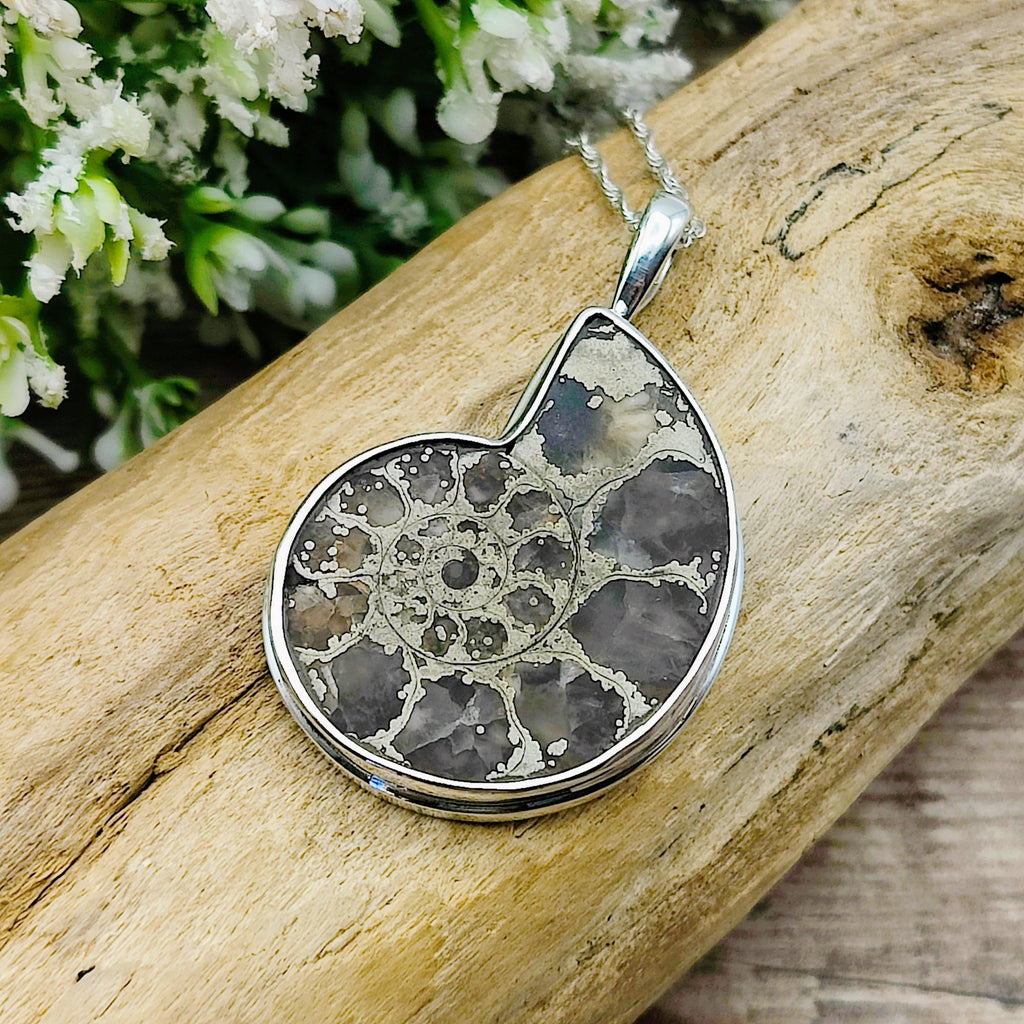 Hepburn and Hughes Ammonite Pendant | Pyrite Fossil Necklace | Two Sizes | Sterling silver