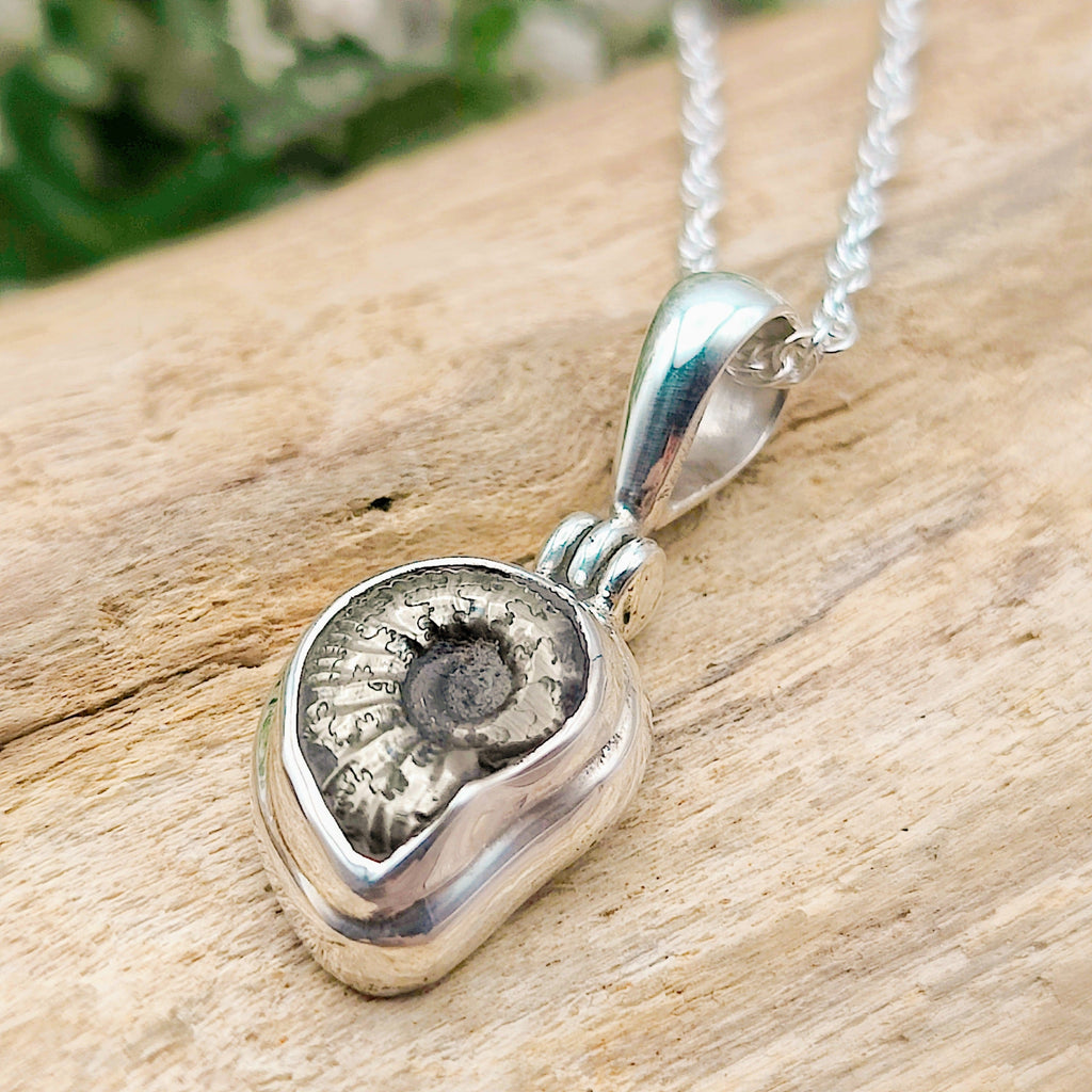 Hepburn and Hughes Ammonite Promicroceras Pendant | Extra Small Limited edition | Sterling Silver