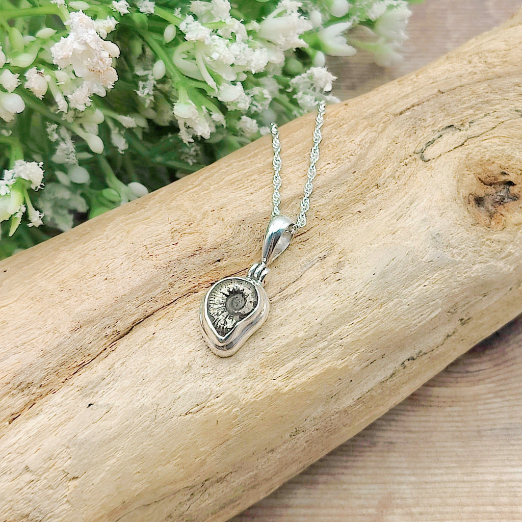 Hepburn and Hughes Ammonite Promicroceras Pendant | Extra Small Limited edition | Sterling Silver