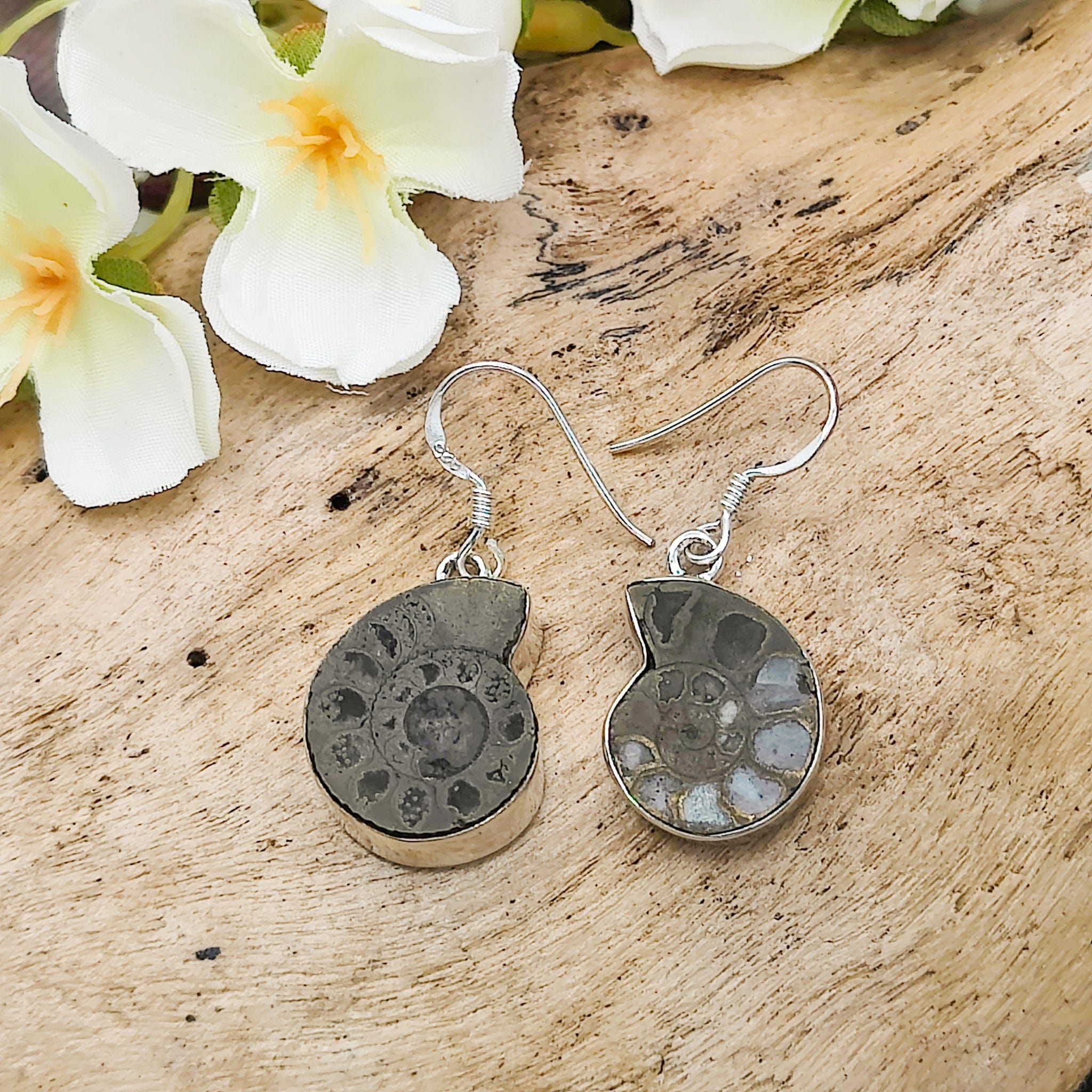Hepburn and Hughes Ammonite Pyrite Earrings | Fossil Jewellery | Sterling Silver