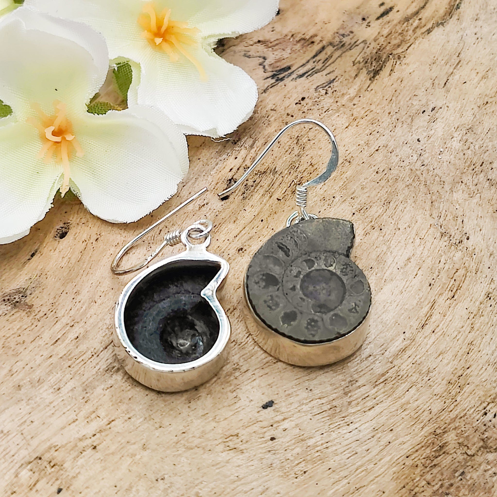 Hepburn and Hughes Ammonite Pyrite Earrings | Fossil Jewellery | Sterling Silver