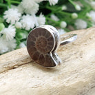 Hepburn and Hughes Ammonite Ring | Medium tone Madagascan 18mm Fossil | Sterling Silver