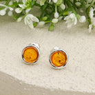 Hepburn and Hughes Baltic Amber Earrings | Round 8mm Studs | Sterling Silver