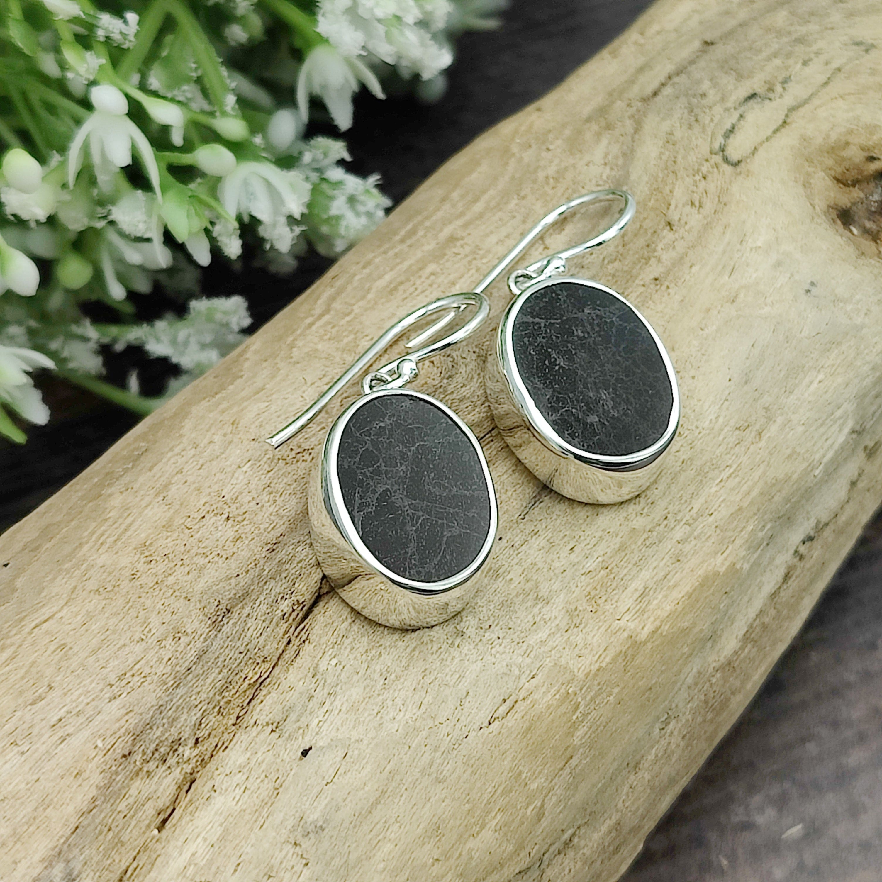 Hepburn and Hughes Dinosaur Fossil Earrings | Fossilised Iguanodon Bone | Oval | Sterling Silver