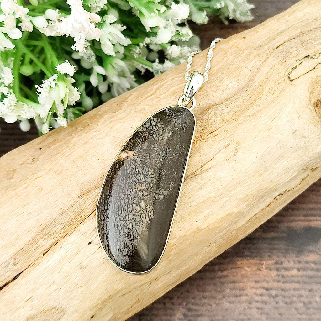 Hepburn and Hughes Dinosaur Fossil Pendant | Fossilised Brontosaurus Necklace | 30mm Curved | Sterling Silver