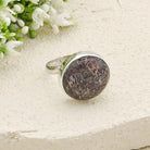 Hepburn and Hughes Dinosaur Fossil Ring | Brontosaurus Jurassic Gift | 17mm diameter | Sterling Silver