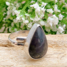 Hepburn and Hughes Dinosaur Fossil Ring | Brontosaurus Teardrop | Sterling Silver