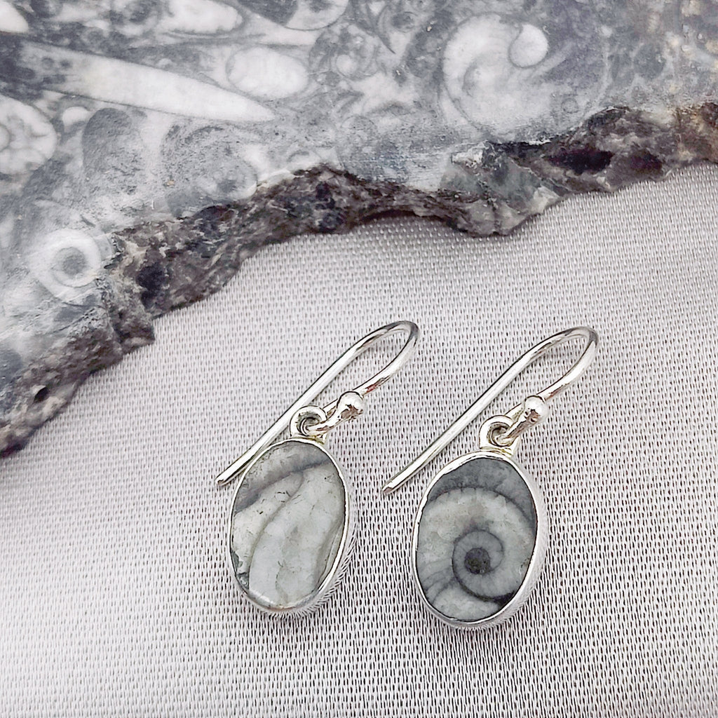 Hepburn and Hughes Fossilised Sea Creatures | Fossil Earrings | 12mm Oval | Sterling Silver