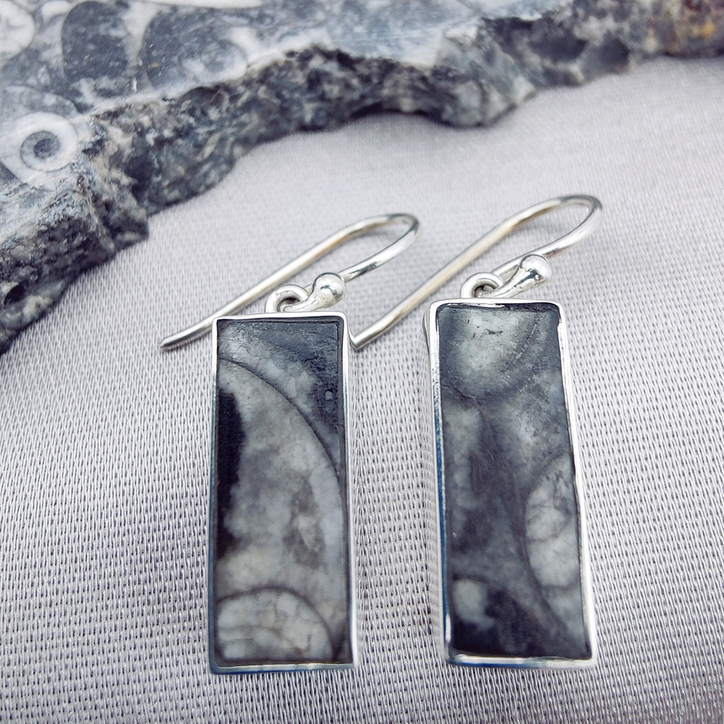 Hepburn and Hughes Fossilised Sea Creatures | Fossil Earrings | 18mm Rectangle | Sterling Silver