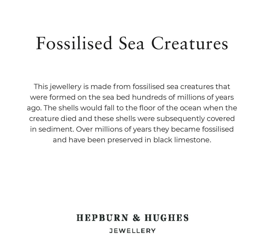 Hepburn and Hughes Fossilised Sea Creatures | Fossil Earrings | 18mm Rectangle | Sterling Silver